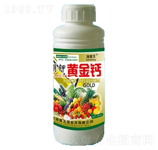 ����S���}-��������