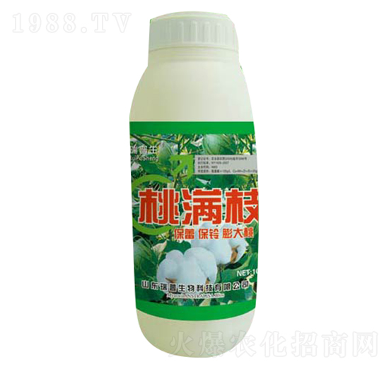 �ҝM֦-��������