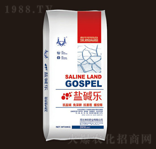 �}�A��-���r�ʘI(y��)