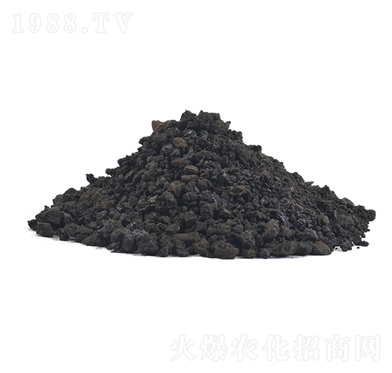 �S������w��-�𺣵|