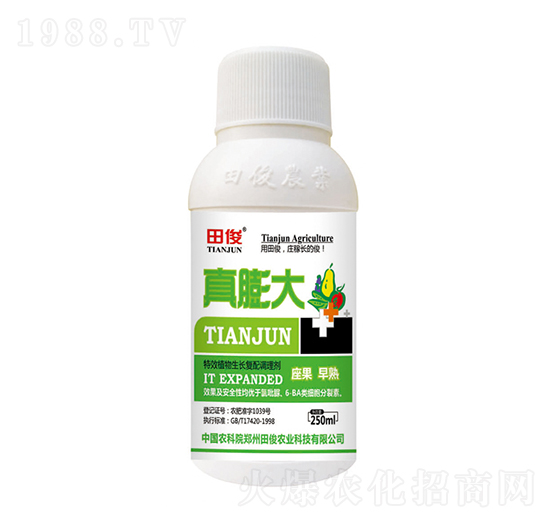 ֲ�����L�����{�턩-�����-�￡�ʘI(y��)