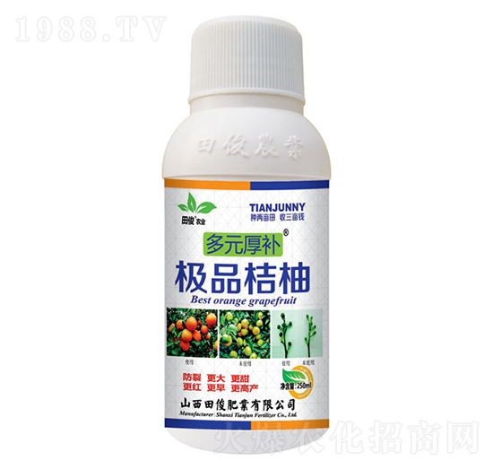 精品桔柚-多元厚補(bǔ)-田俊肥業(yè)