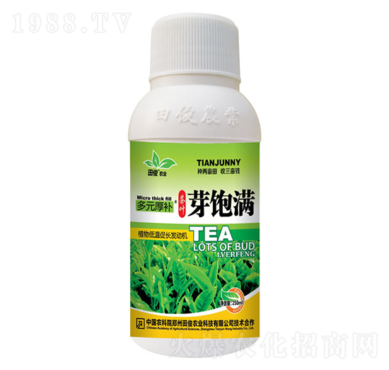 茶飽滿-多元厚補(bǔ)-田俊肥業(yè)