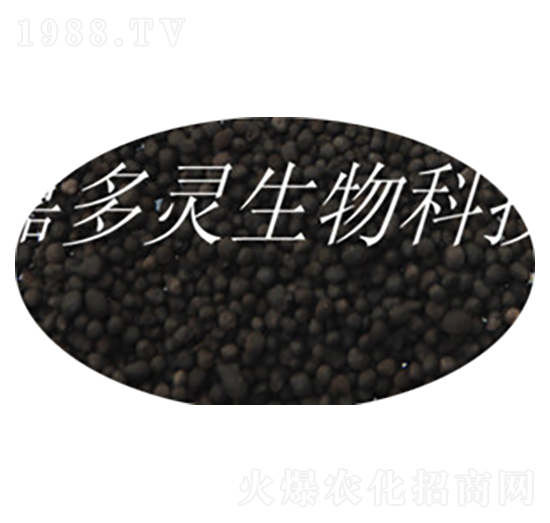 �����ЙC�ʣ�С�w����-�ζ��`