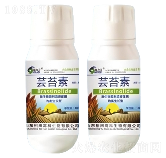 �|̦��-ʩ����-ԣ��߿�