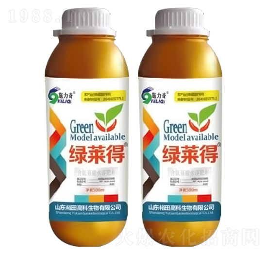 �G�R��-ʩ����-ԣ��߿�