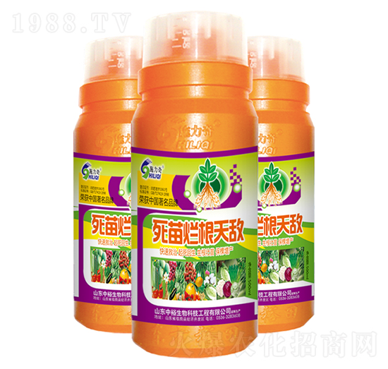 ���砀���씳-ʩ����-ԣ��߿�