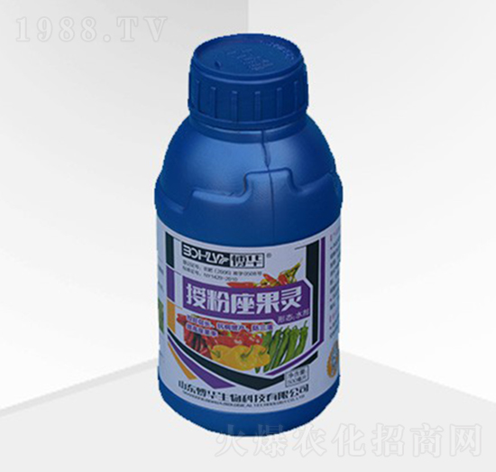 �ڷ������`-���A����