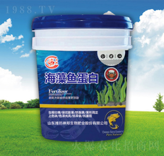 �����~���כ_ʩ��-�������