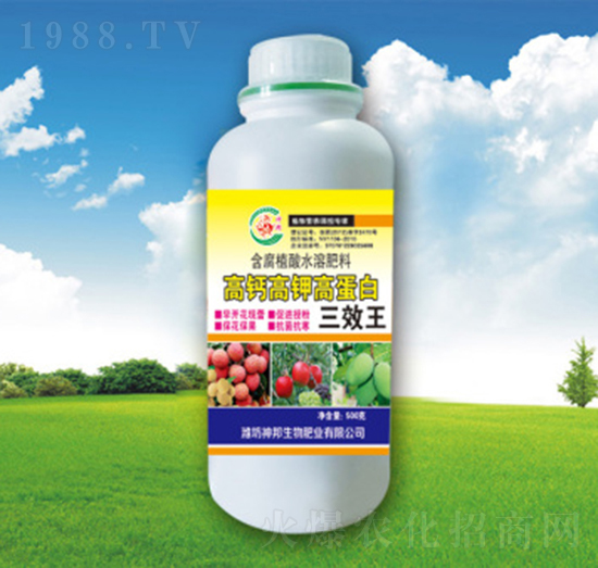 ���}��⛸ߵ���-��Ч��-�������