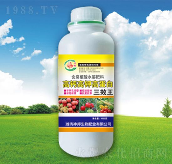 ���}��⛸ߵ���-�������