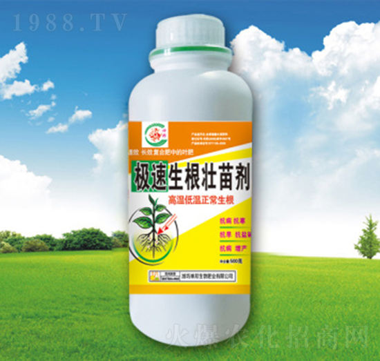 �O���������焩-�������