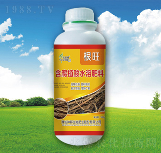 ����ֲ��ˮ�ܷ���-����-�������