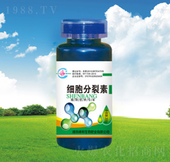 ��(x��)��������-�������