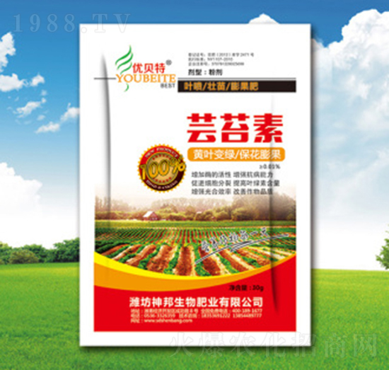 �|̦���~���-�������