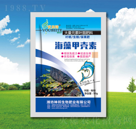 ����ך����~���-�������