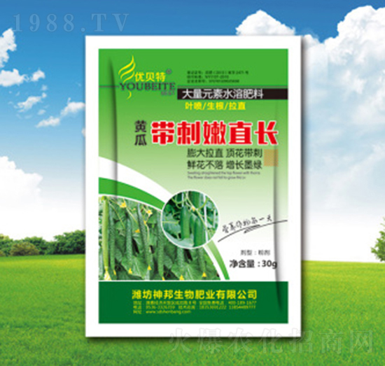 �S�ώ�����ֱ�L(zh��ng)-�������