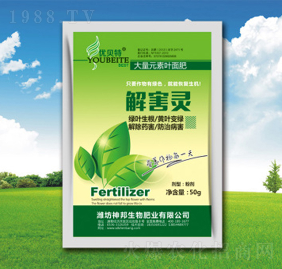 �⺦�`-�������