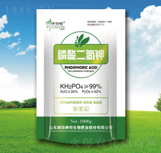 ��(y��u)ؐ��������-�������