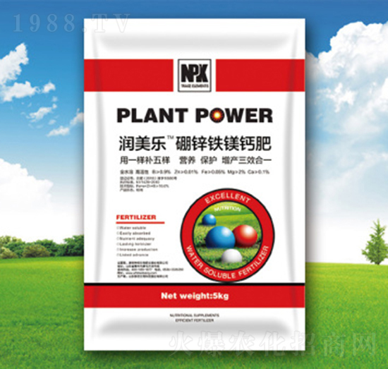 ���\�F�V�}��-�������