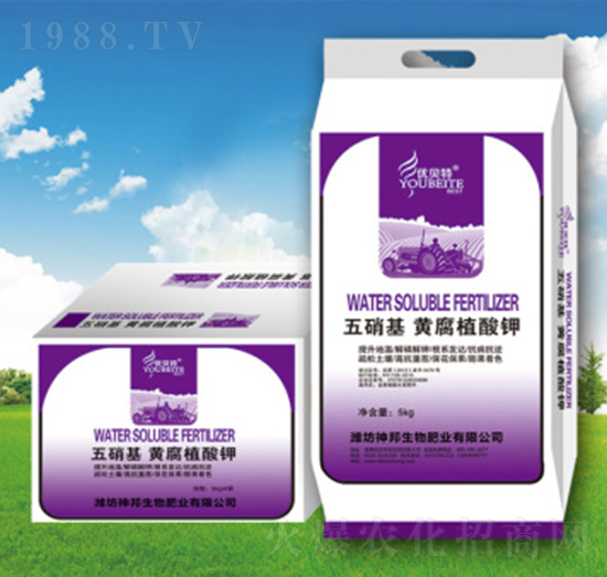 �������S�����-�������