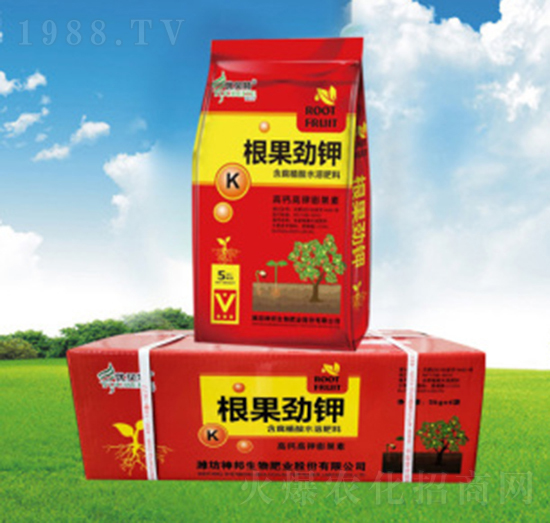 �������-�������