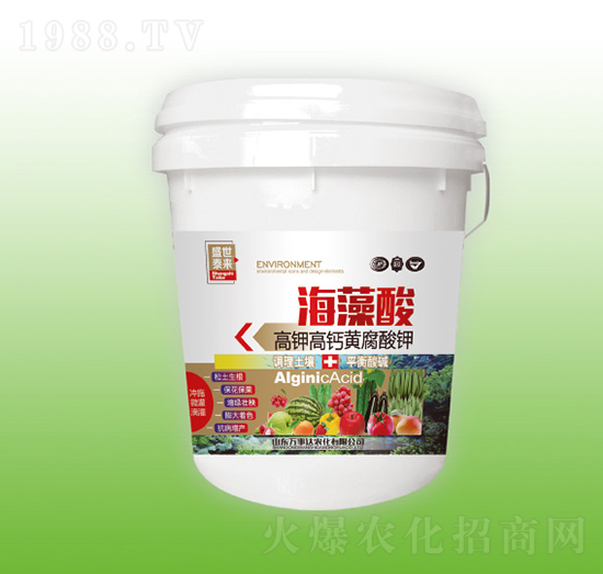 ������-ʢ��̩��-�f���_