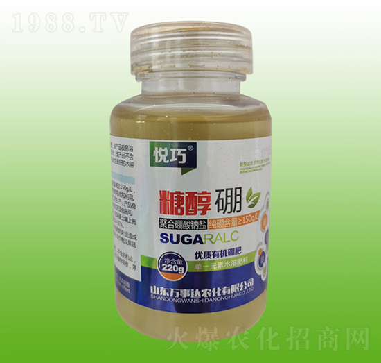 �Ǵ���-����-�f���_(d��)