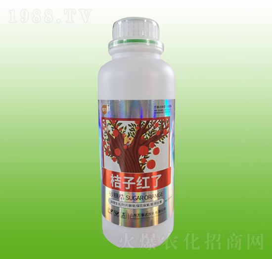 ���Ӽt��-����-�f���_