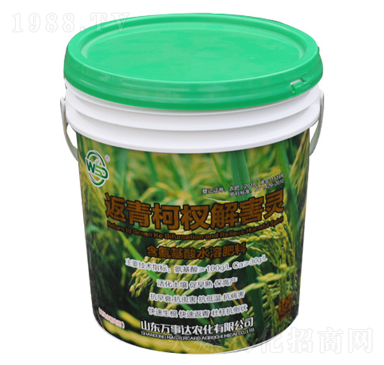 �����辽⺦�`-����-�f(w��n)���_(d��)