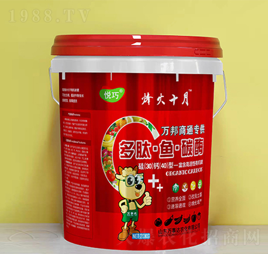 �����~̼ø-����-�f(w��n)���_(d��)