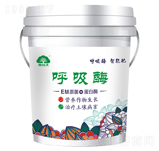 EMԭ��+����ø-����ø-�ӹ���