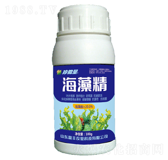 ���徫-���A����