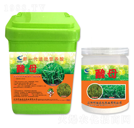 ��һ����Ч�I(y��ng)�B(y��ng)��-��ĸ-�����r(n��ng)��