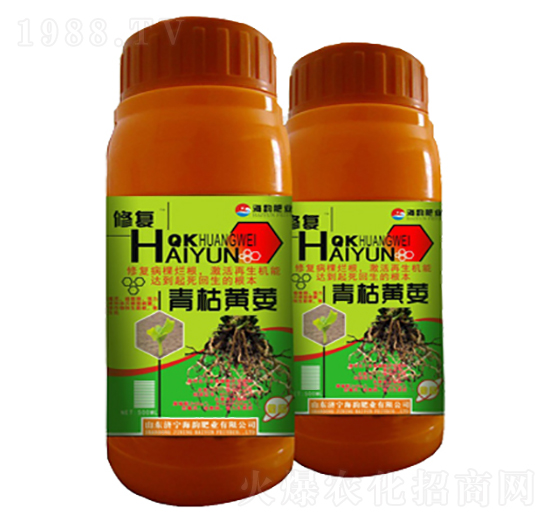 ����Sή�~���-�ޏ�-��퍷ʘI(y��)