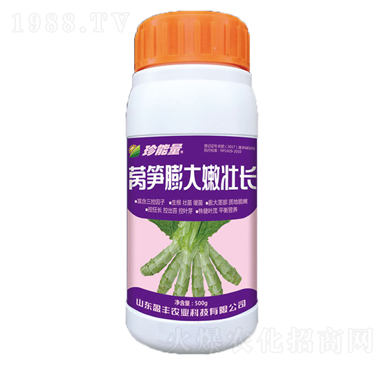 �n�S����ۉ��L-���A����