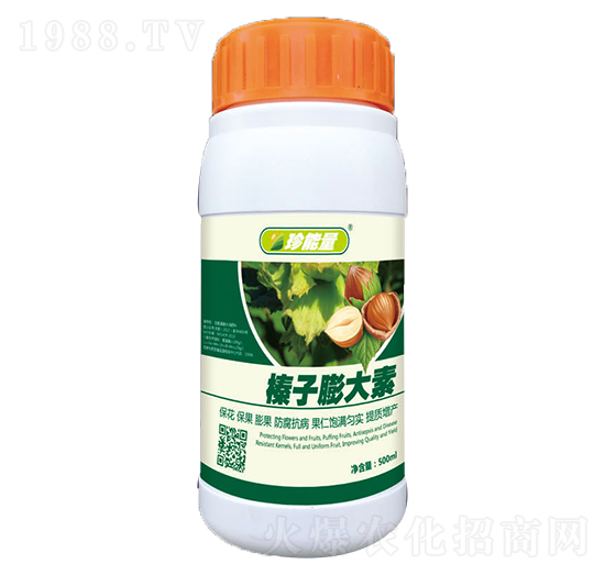 ��������-���A����