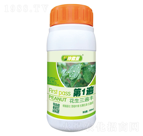 ���������S-��1��-���A����