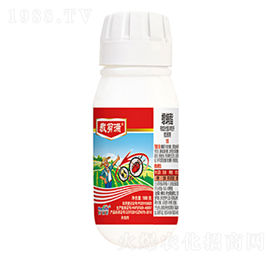 240��ÿ��������-�ü��M-����������