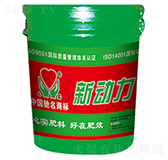 ����-�Č�(sh��)�ʘI(y��)