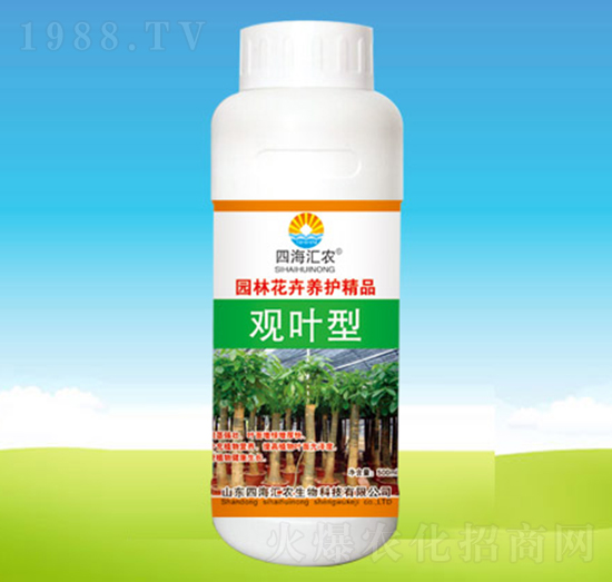 �^�~��-�ĺ��R�r