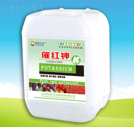 �߼t�-�ĺ��R�r