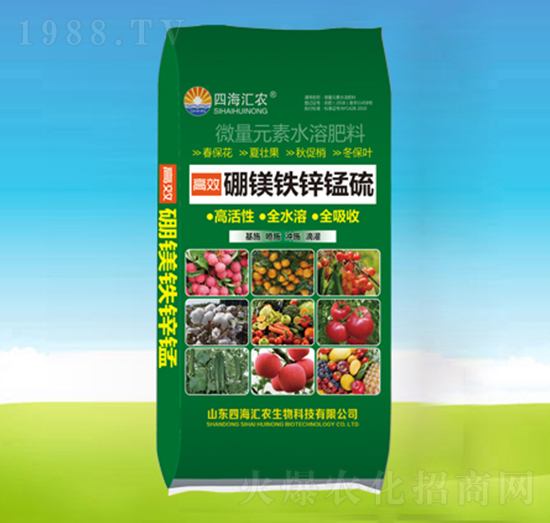 ���V�F�\�i��-�ĺ��R�r(n��ng)