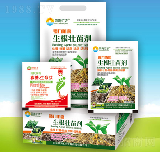 ��(qi��ng)�������������焩-�ĺ��R�r(n��ng)