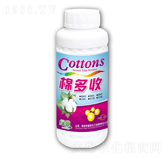 �޶���-�G��-��������