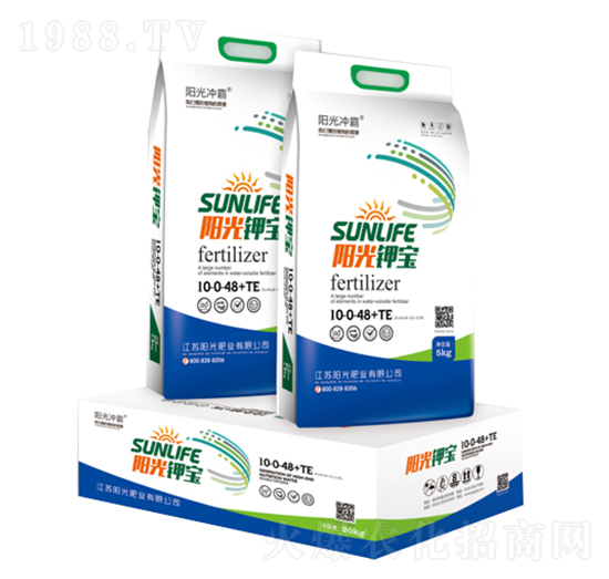 ꖹ�⛌�10-0-48+TE-ꖹ�_��-ꖹ�ʘI(y��)