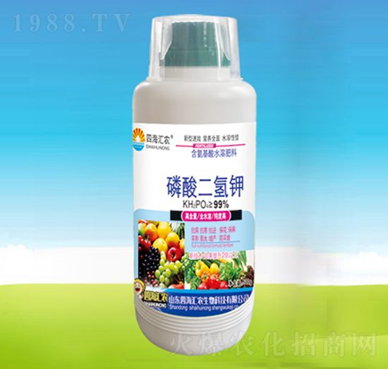 ��������-�ĺ��R�r