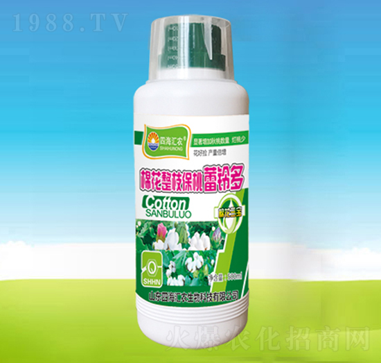 �޻���֦������⏶�-�ĺ��R�r