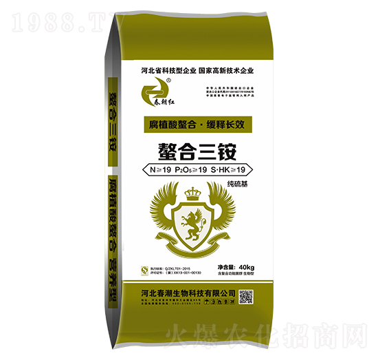 �������@19-19-19-�����t