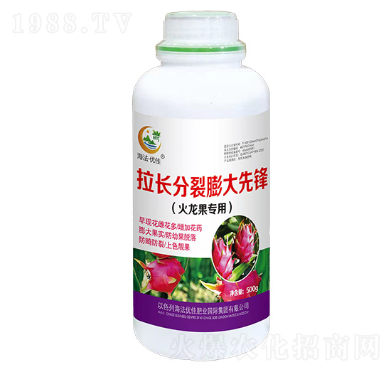 �������������L(zh��ng)����������h-������(y��u)��